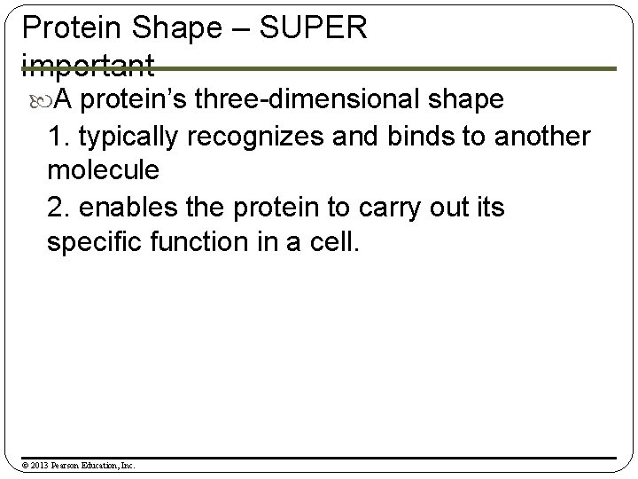 Protein Shape – SUPER important A protein’s three-dimensional shape 1. typically recognizes and binds