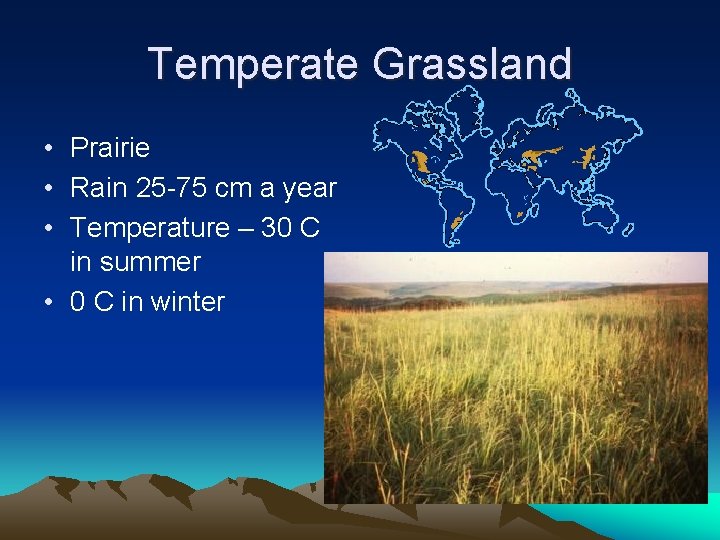 Temperate Grassland • Prairie • Rain 25 -75 cm a year • Temperature –
