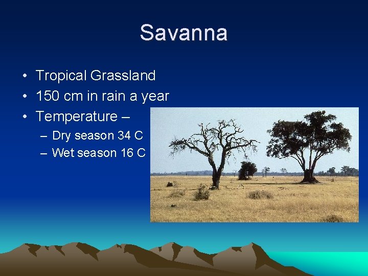 Savanna • Tropical Grassland • 150 cm in rain a year • Temperature –