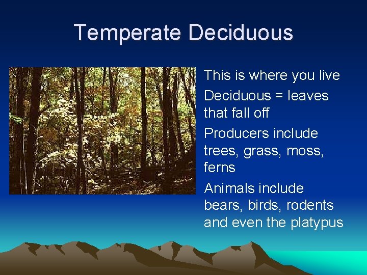 Temperate Deciduous • This is where you live • Deciduous = leaves that fall