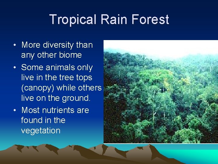 Tropical Rain Forest • More diversity than any other biome • Some animals only