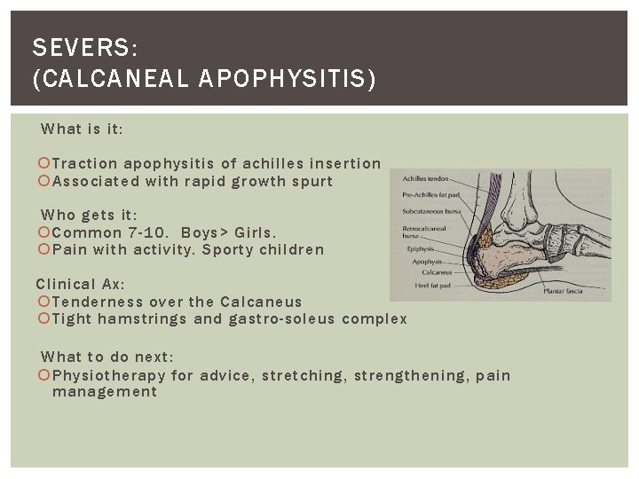 SEVERS: (CALCANEAL APOPHYSITIS) What is it: Traction apophysitis of achilles insertion Associated with rapid