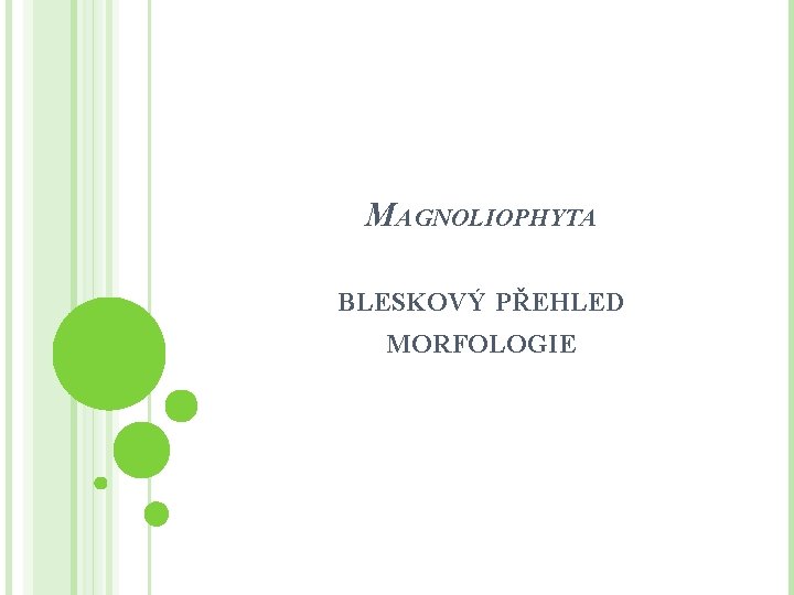 MAGNOLIOPHYTA BLESKOVÝ PŘEHLED MORFOLOGIE 