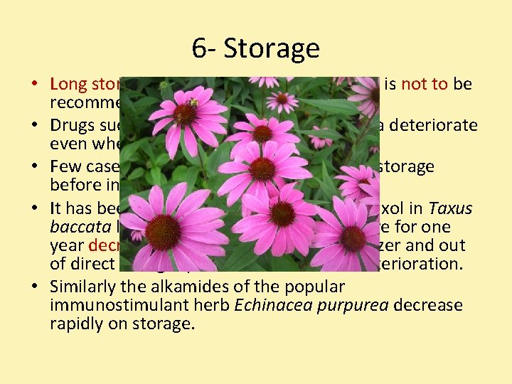 6 - Storage • Long storage, although often unavoidable, is not to be recommended,