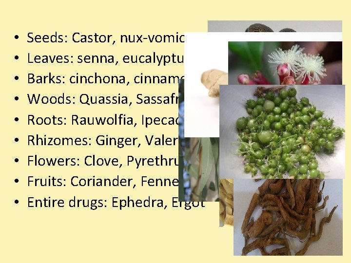  • • • Seeds: Castor, nux-vomica Leaves: senna, eucalyptus Barks: cinchona, cinnamon Woods: