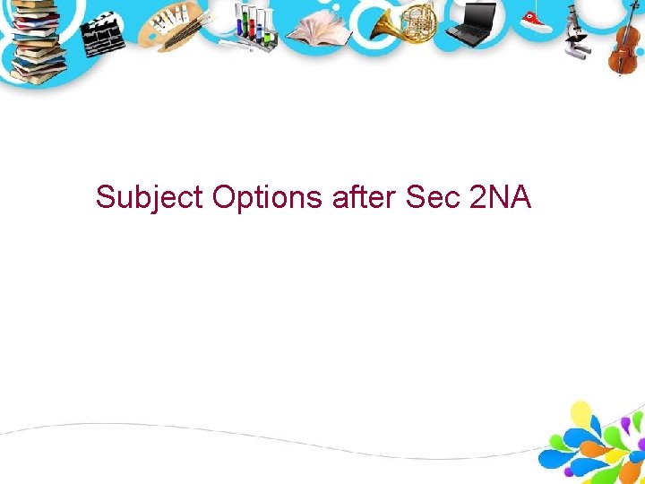 Subject Options after Sec 2 NA 