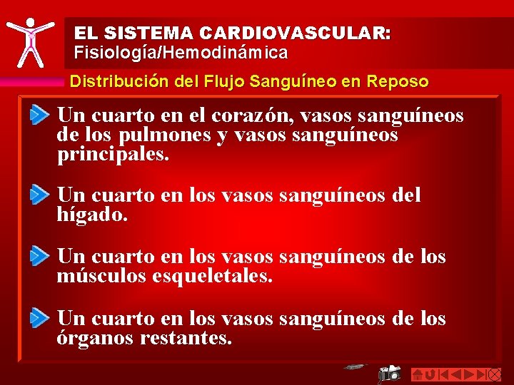 EL SISTEMA CARDIOVASCULAR: Fisiología/Hemodinámica Distribución del Flujo Sanguíneo en Reposo Un cuarto en el