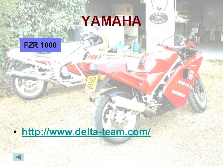 YAMAHA FZR 1000 • http: //www. delta-team. com/ 