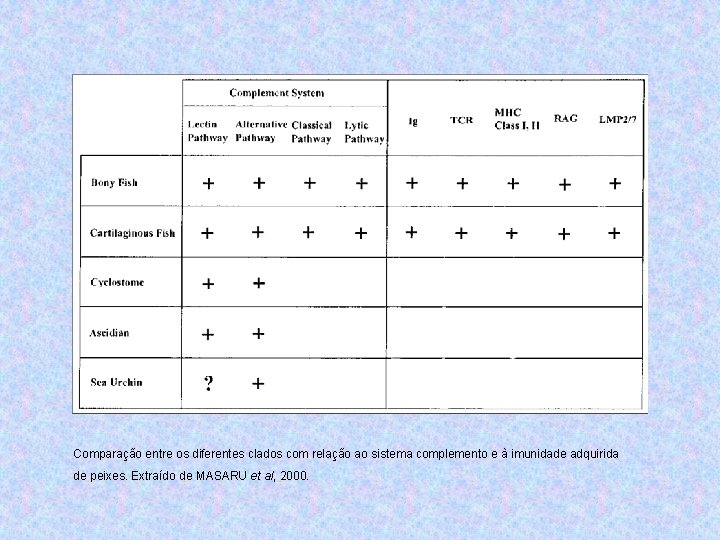 Comparação entre os diferentes clados com relação ao sistema complemento e à imunidade adquirida