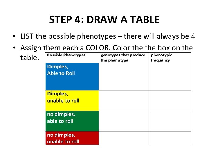 STEP 4: DRAW A TABLE • LIST the possible phenotypes – there will always