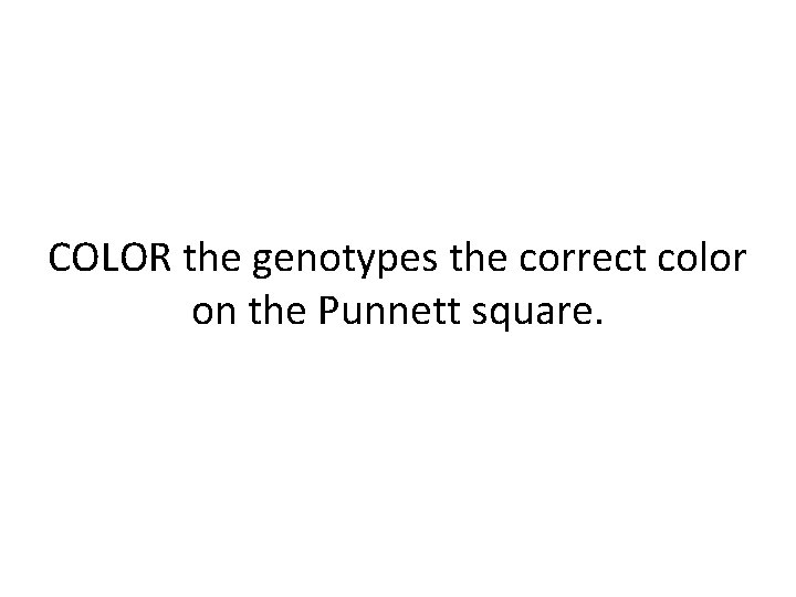 COLOR the genotypes the correct color on the Punnett square. 