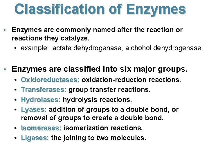 Classification of Enzymes • Enzymes are commonly named after the reaction or reactions they