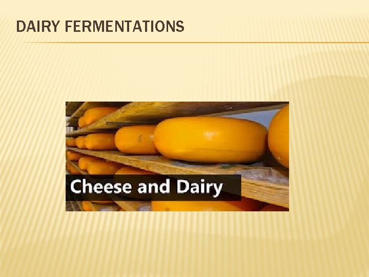 DAIRY FERMENTATIONS 