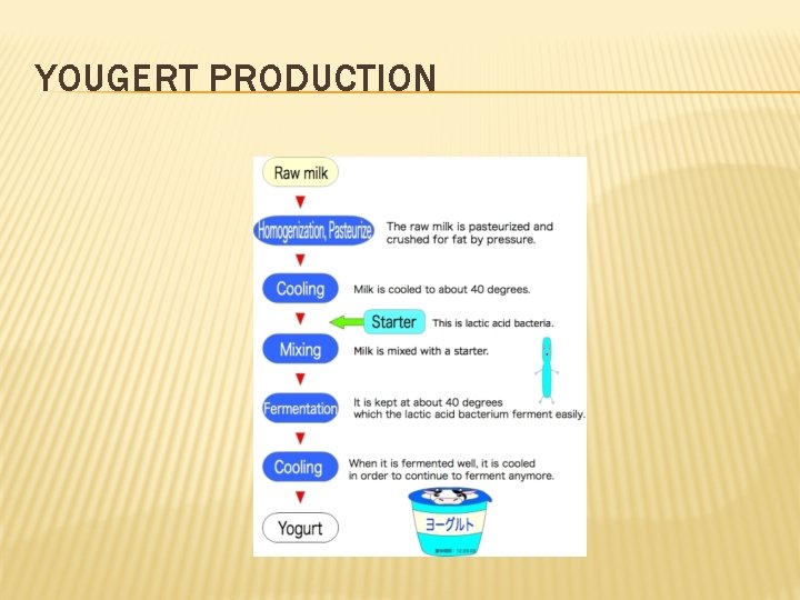 YOUGERT PRODUCTION 