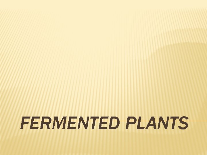 FERMENTED PLANTS 