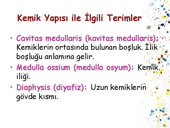 Kemik Yapısı ile İlgili Terimler • Cavitas medullaris (kavitas medullaris): Kemiklerin ortasında bulunan boşluk.