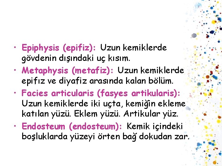  • Epiphysis (epifiz): Uzun kemiklerde gövdenin dışındaki uç kısım. • Metaphysis (metafiz): Uzun