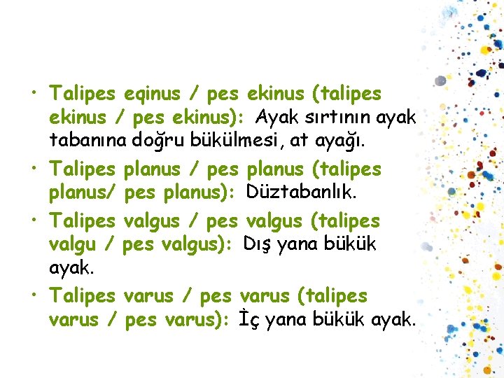  • Talipes eqinus / pes ekinus (talipes ekinus / pes ekinus): Ayak sırtının