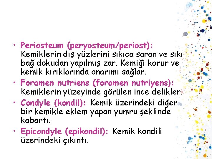  • Periosteum (peryosteum/periost): Kemiklerin dış yüzlerini sıkıca saran ve sıkı bağ dokudan yapılmış