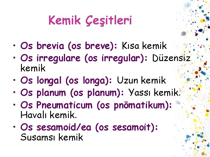 Kemik Çeşitleri • Os brevia (os breve): Kısa kemik • Os irregulare (os irregular):