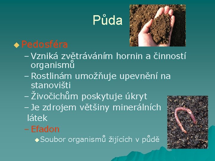 Půda u Pedosféra – Vzniká zvětráváním hornin a činností organismů – Rostlinám umožňuje upevnění