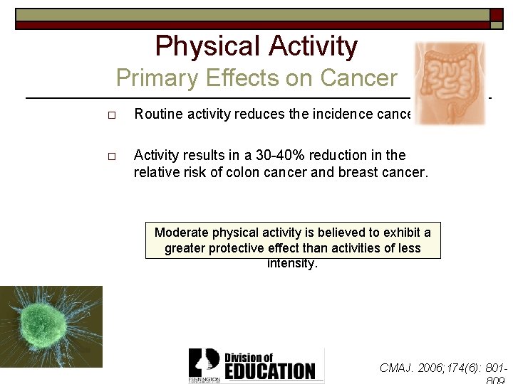 Physical Activity Primary Effects on Cancer o Routine activity reduces the incidence cancers. o