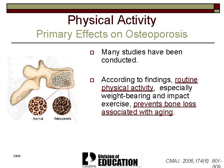 Physical Activity Primary Effects on Osteoporosis o Many studies have been conducted. o According