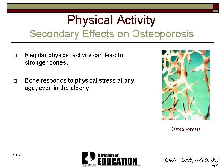 Physical Activity Secondary Effects on Osteoporosis o Regular physical activity can lead to stronger