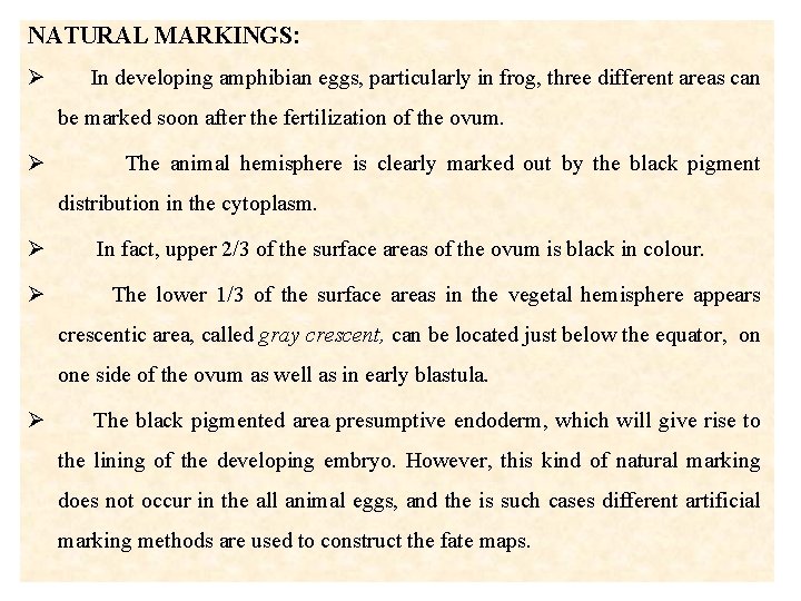 NATURAL MARKINGS: Ø In developing amphibian eggs, particularly in frog, three different areas can