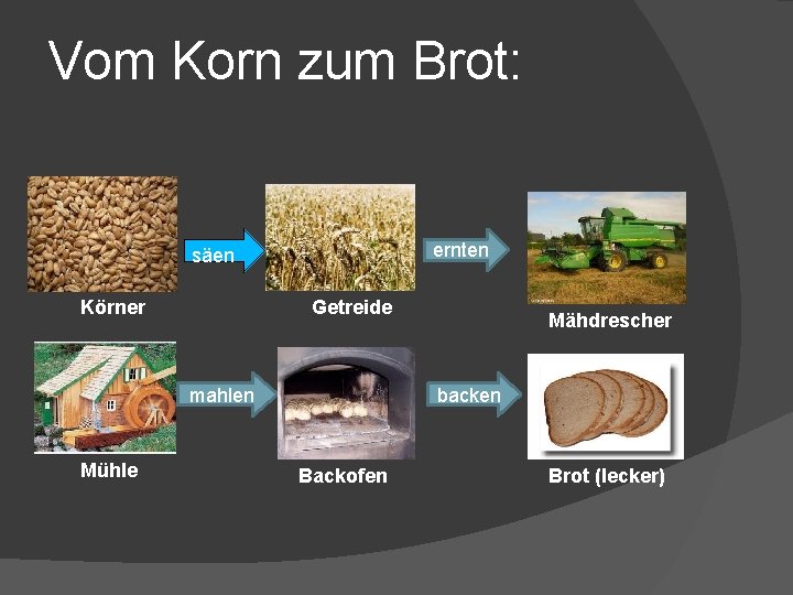 Vom Korn zum Brot: ernten säen Körner Getreide mahlen Mühle Mähdrescher backen Backofen Brot