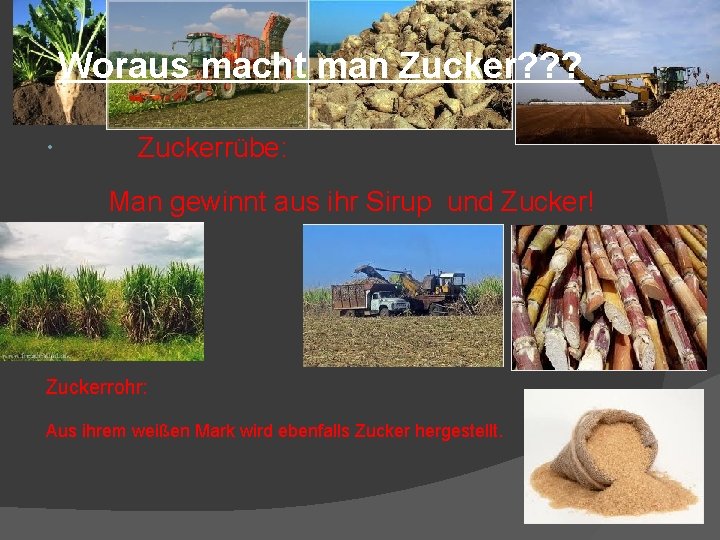 Woraus macht man Zucker? ? ? Zuckerrübe: Man gewinnt aus ihr Sirup und Zucker!