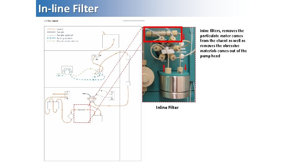 In-line Filter Inine filters, removes the particulate mater comes from the eluent as well