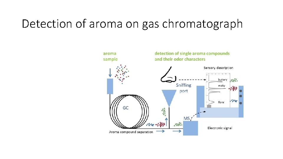 Detection of aroma on gas chromatograph 