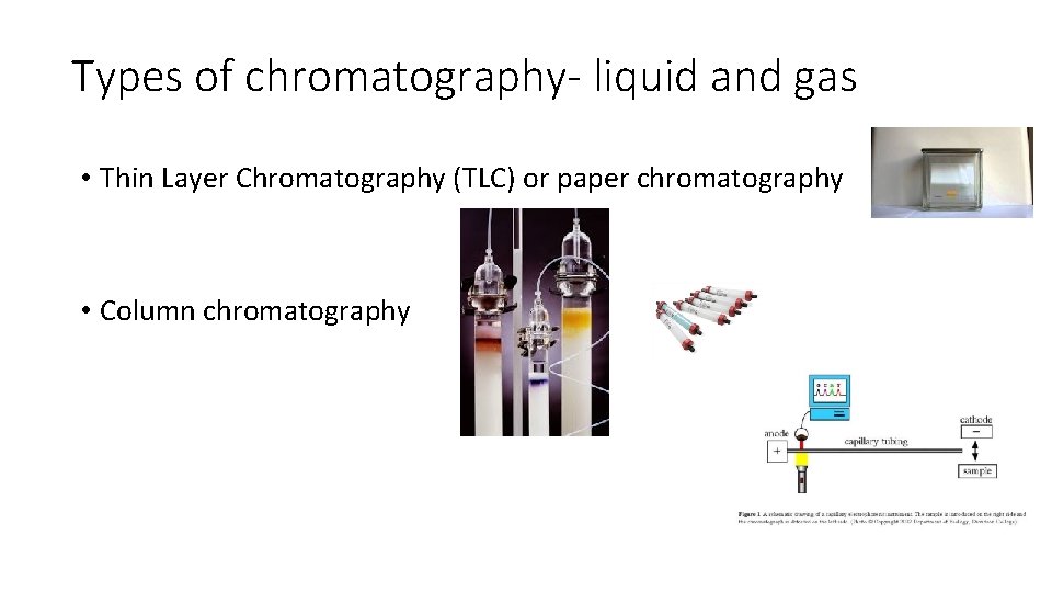 Types of chromatography- liquid and gas • Thin Layer Chromatography (TLC) or paper chromatography