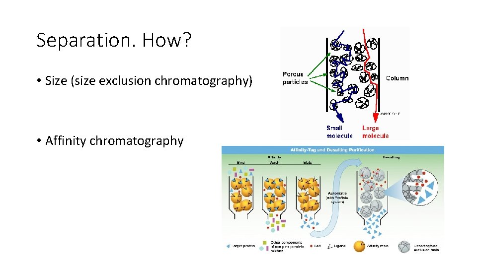 Separation. How? • Size (size exclusion chromatography) • Affinity chromatography 