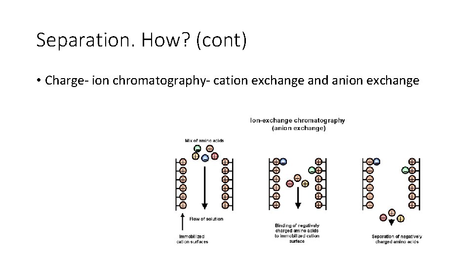 Separation. How? (cont) • Charge- ion chromatography- cation exchange and anion exchange 