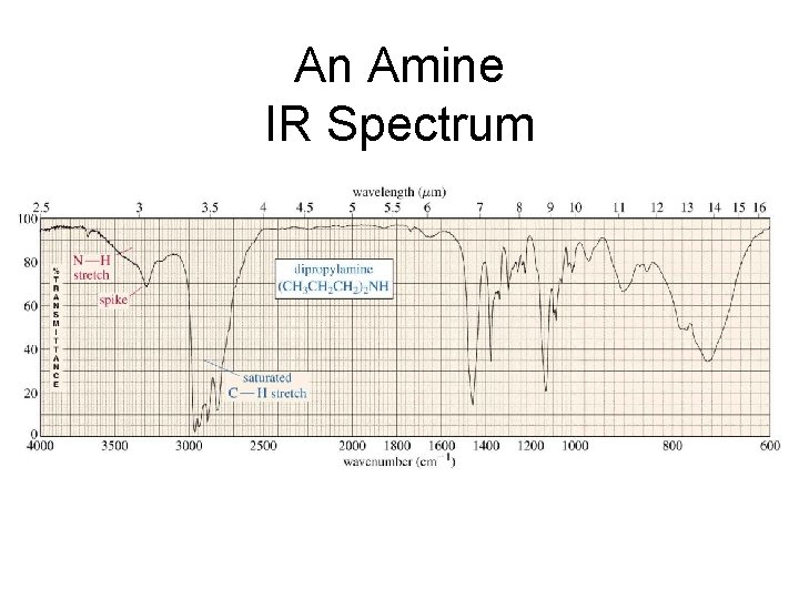 An Amine IR Spectrum 