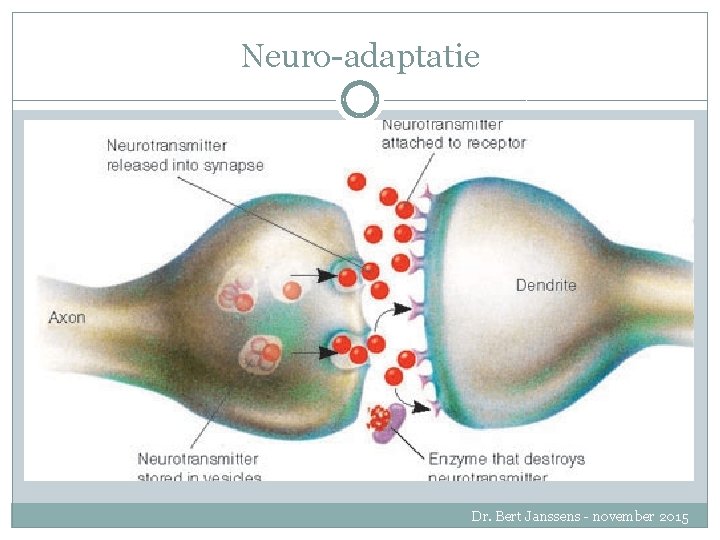 Neuro-adaptatie Dr. Bert Janssens - november 2015 
