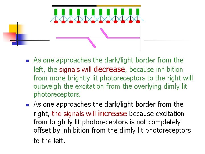 n n As one approaches the dark/light border from the left, the signals will