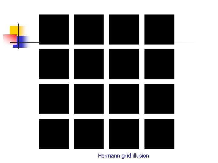 Hermann grid illusion 