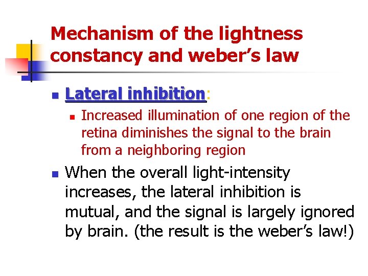 Mechanism of the lightness constancy and weber’s law n Lateral inhibition: inhibition n n