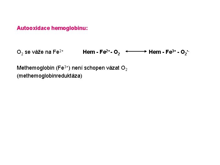 Autooxidace hemoglobinu: O 2 se váže na Fe 2+ Hem - Fe 2+- O