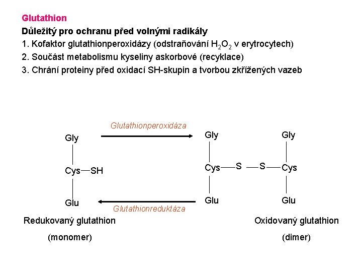 Glutathion Důležitý pro ochranu před volnými radikály 1. Kofaktor glutathionperoxidázy (odstraňování H 2 O