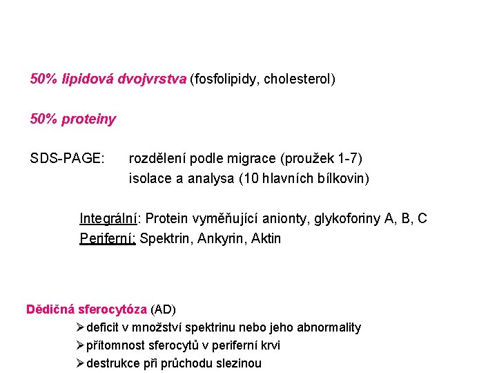 50% lipidová dvojvrstva (fosfolipidy, cholesterol) 50% proteiny SDS-PAGE: rozdělení podle migrace (proužek 1 -7)