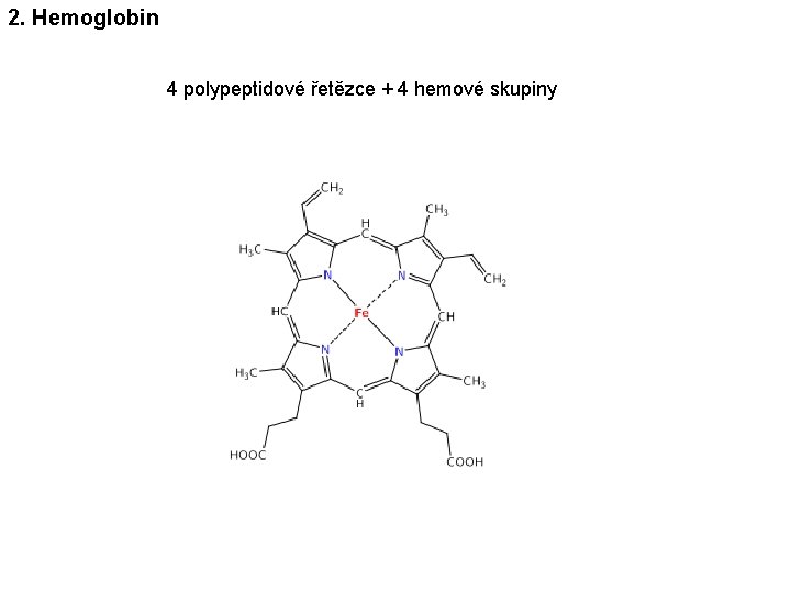 2. Hemoglobin 4 polypeptidové řetězce + 4 hemové skupiny 