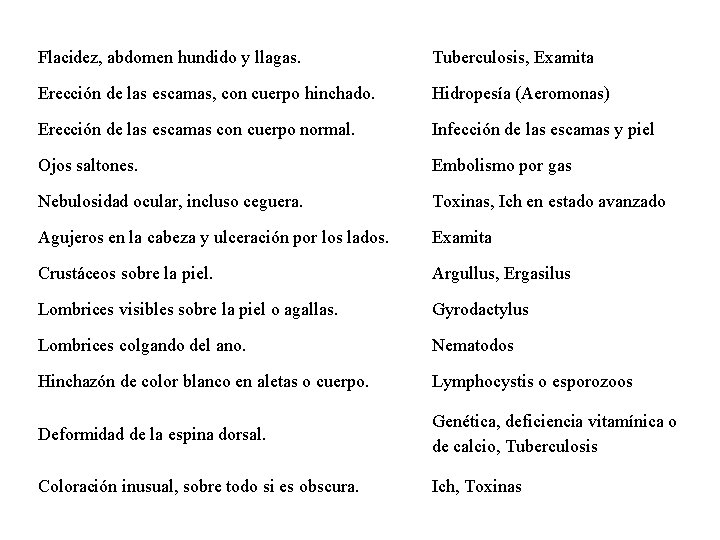 Flacidez, abdomen hundido y llagas. Tuberculosis, Examita Erección de las escamas, con cuerpo hinchado.