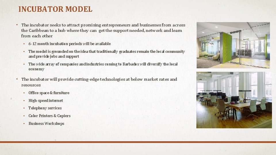 INCUBATOR MODEL • The incubator seeks to attract promising entrepreneurs and businesses from across