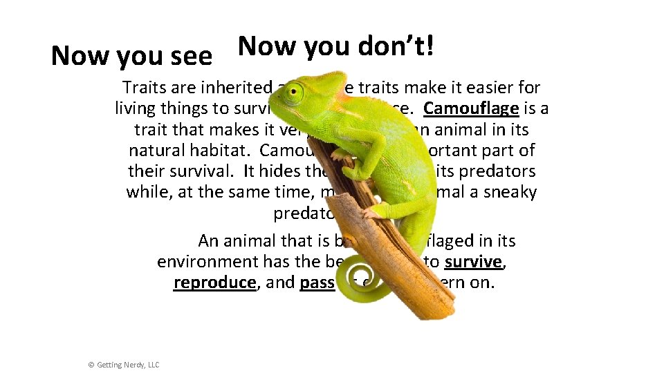 Now you don’t! Now you see me! Traits are inherited and some traits make