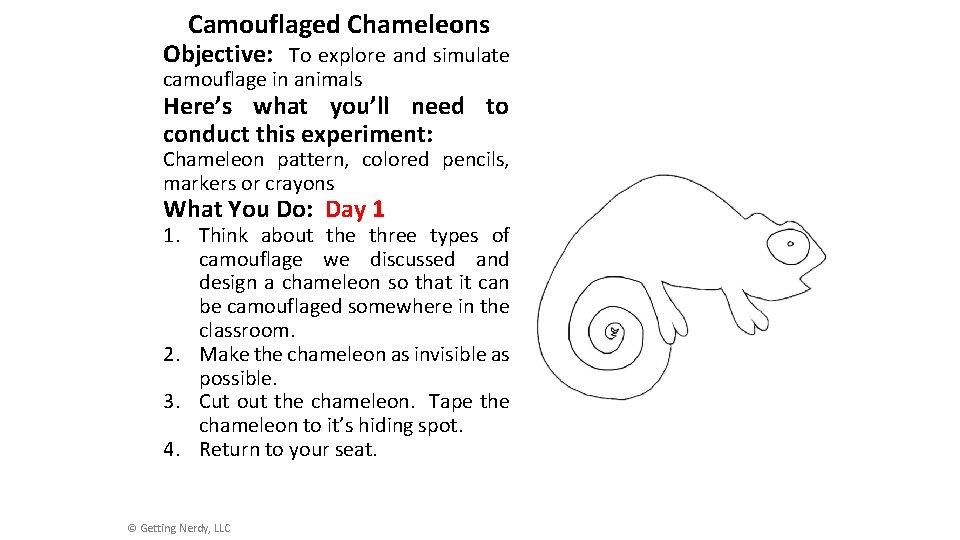 Camouflaged Chameleons Objective: To explore and simulate camouflage in animals Here’s what you’ll need