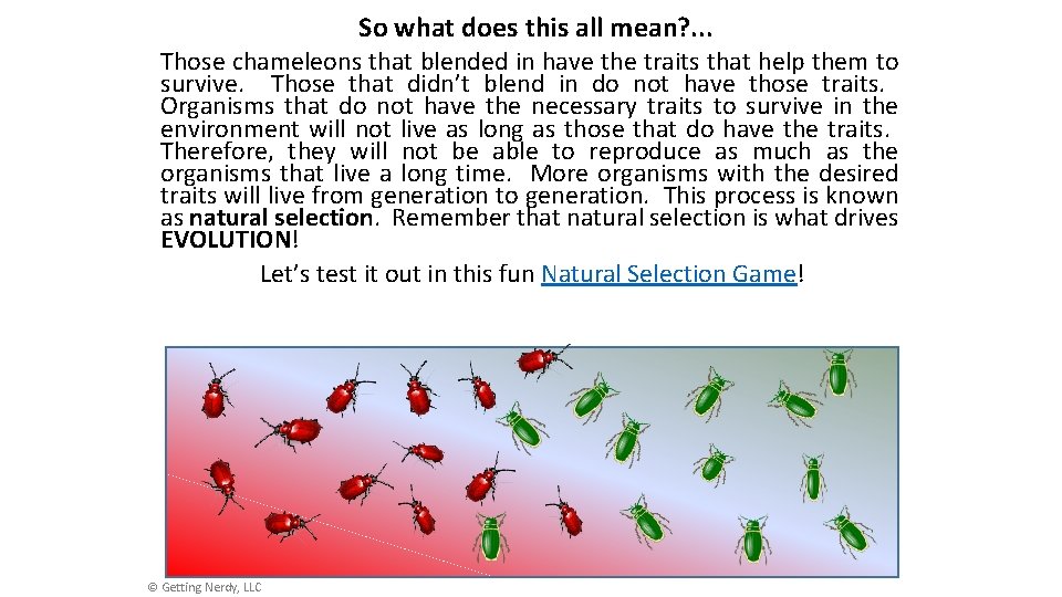 So what does this all mean? . . . Those chameleons that blended in